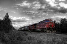 Canmore Train BW