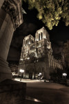 Notre Dame Night